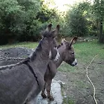 Bed & Breakfast La Capanna Rossa *