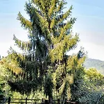 La Capanna Rossa *
