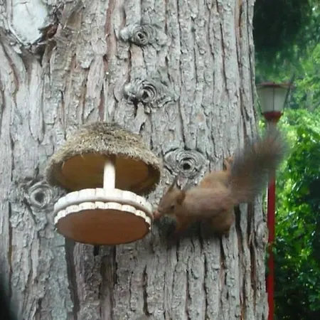 La Capanna Rossa Couette-café San Romolo