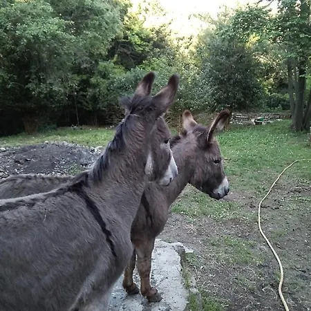 Couette-café La Capanna Rossa *