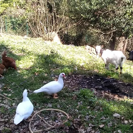 La Capanna Rossa San Romolo