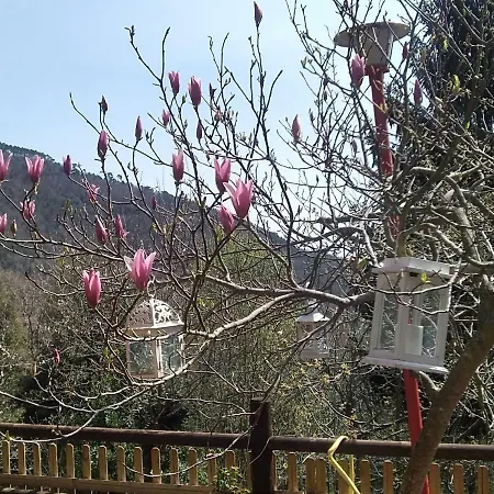 Alojamento de Acomodação e Pequeno-almoço La Capanna Rossa