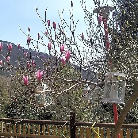 La Capanna Rossa Bed & Breakfast San Romolo