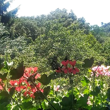La Capanna Rossa *