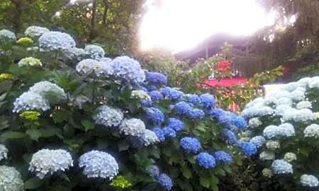 La Capanna Rossa *