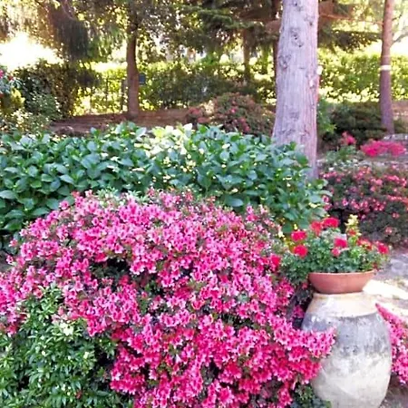 La Capanna Rossa Bed & Breakfast *