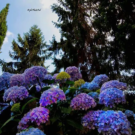 לינה וארוחת בוקר La Capanna Rossa San Romolo