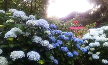 לינה וארוחת בוקר La Capanna Rossa *